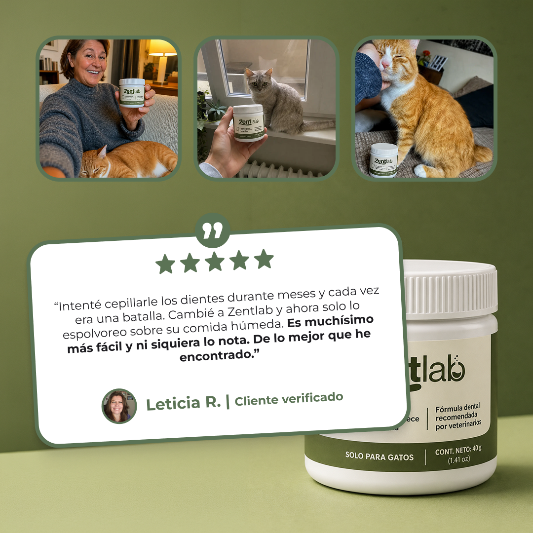 Polvo dental para gatos