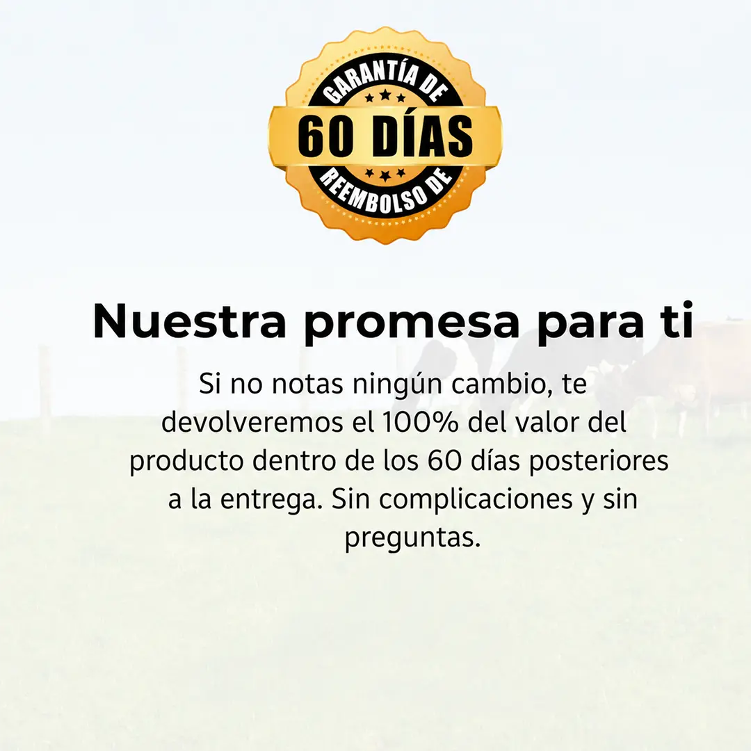 Boneflex | 6 en 1 con Médula Ósea