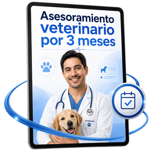 Asesoramiento Veterinario por 3 meses