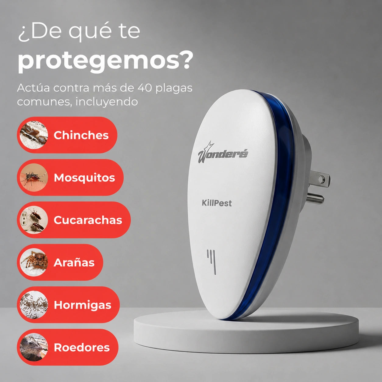 KillPest Dile adiós a las chinches de cama | Protección duradera y segura