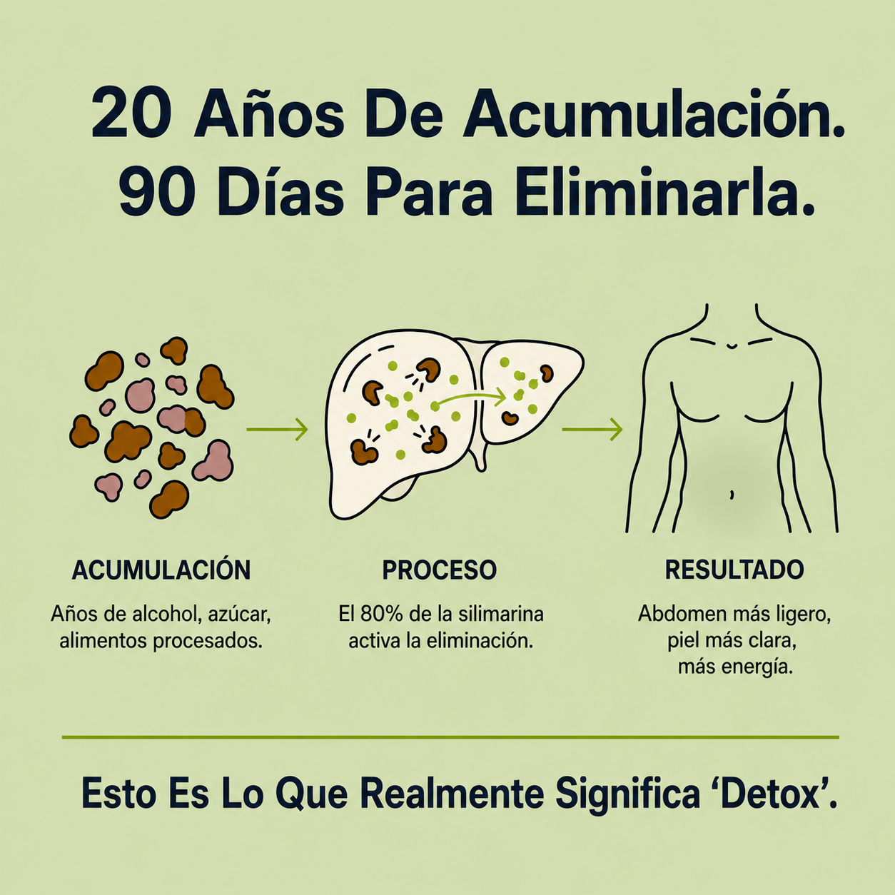 Desintoxicación hepática con cardo mariano