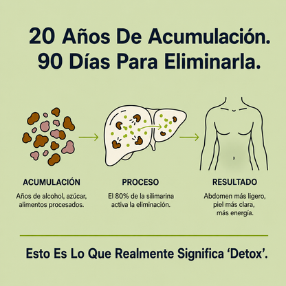 Desintoxicación hepática con cardo mariano