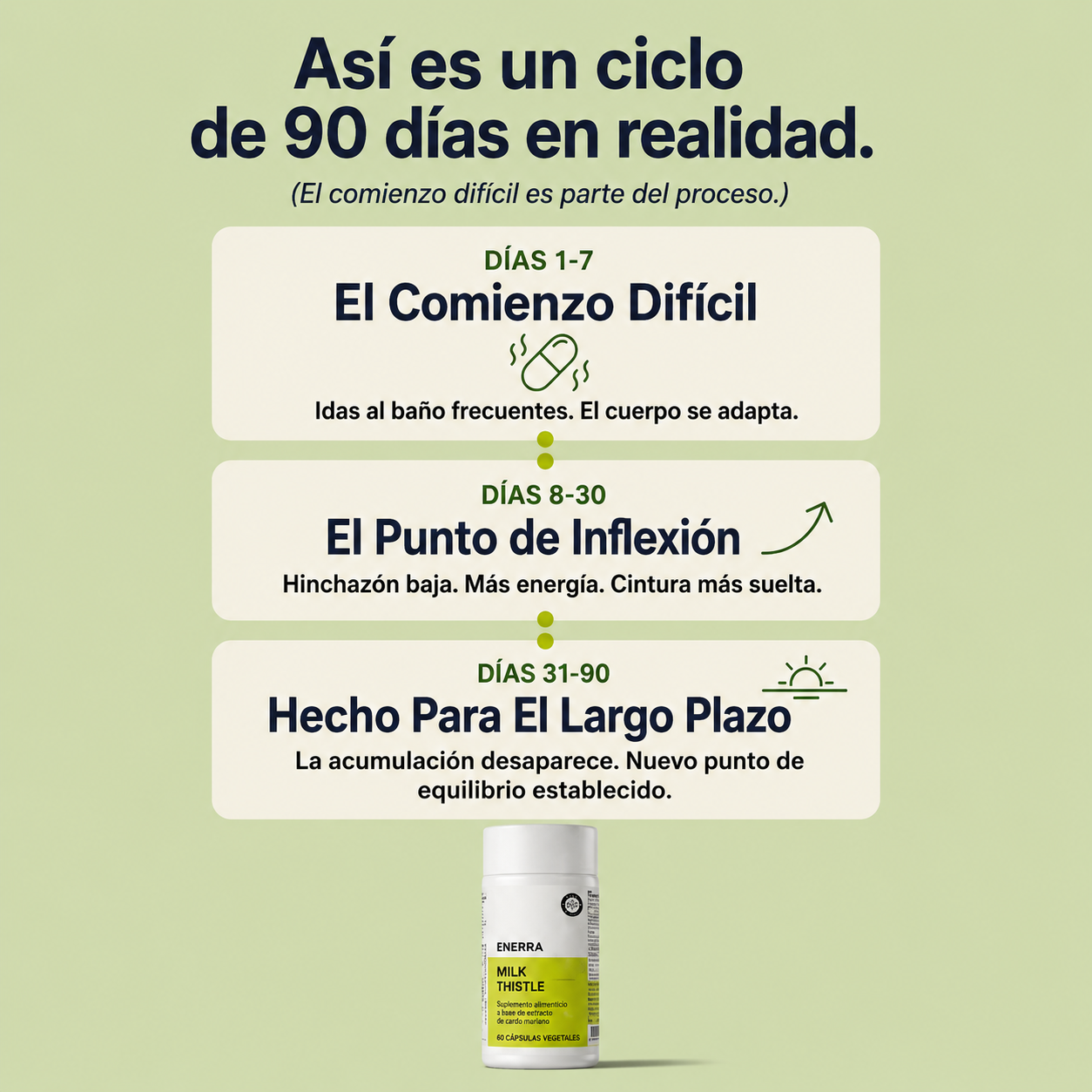 Desintoxicación hepática con cardo mariano