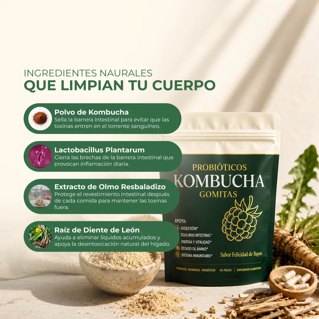 Gomas Kombucha | Apoyo Digestivo