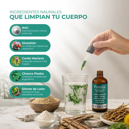 HepaVital | Soporte Hepático Avanzado