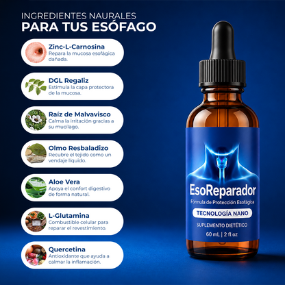 Reparador de esófago