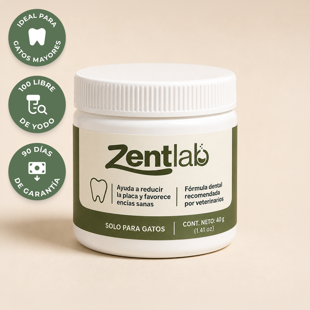 Polvo dental para gatos