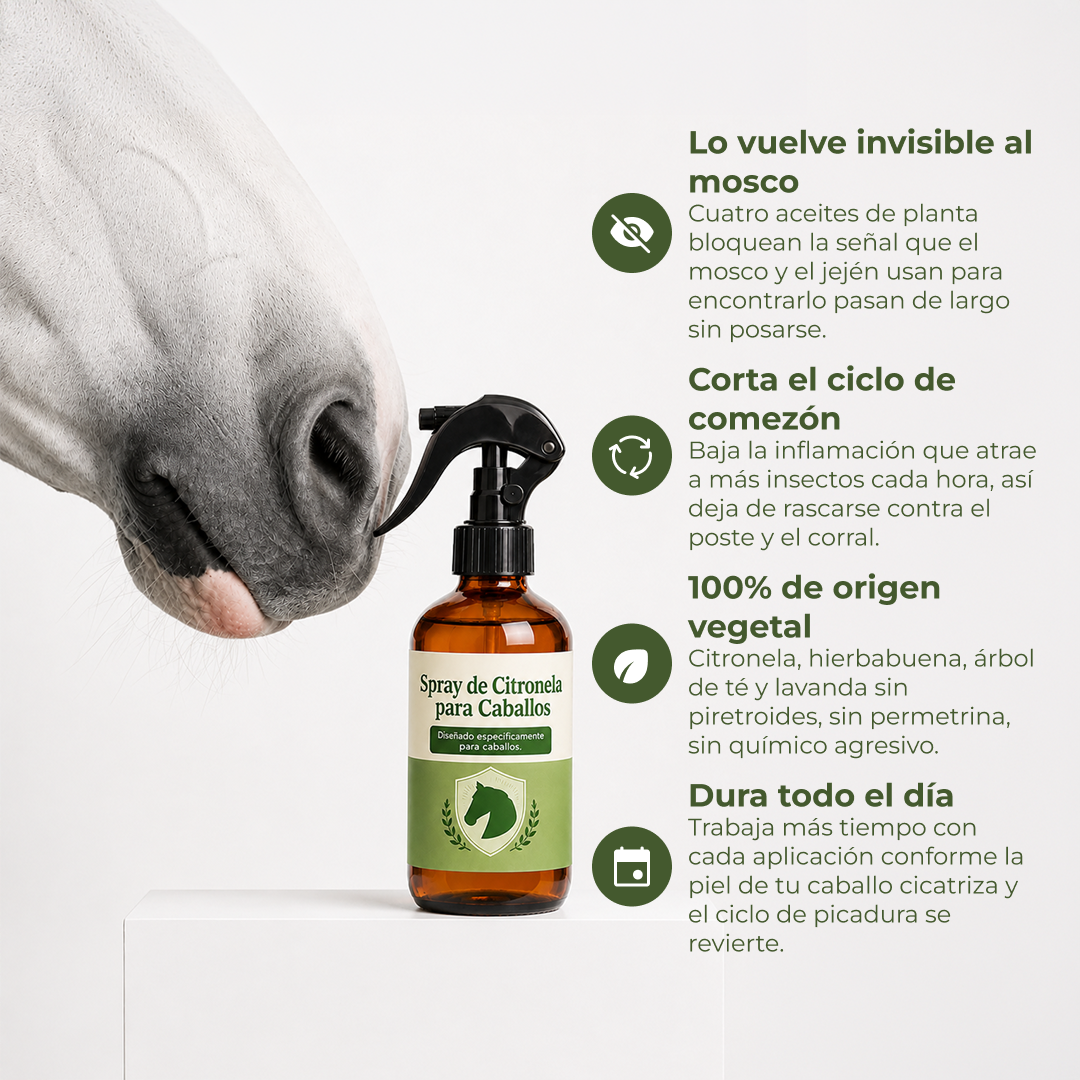 Repelente insectos para caballo