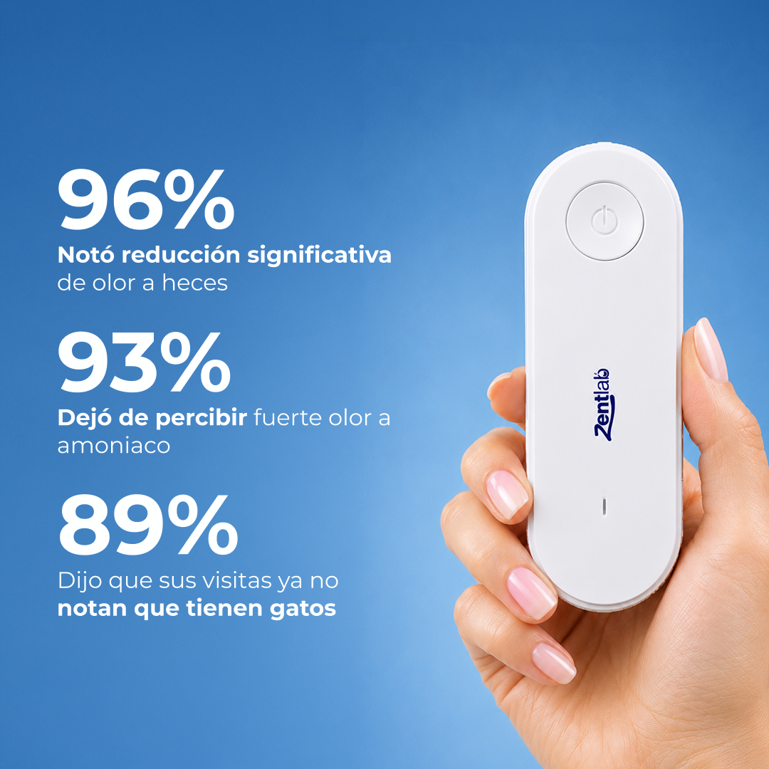 Arena Pura