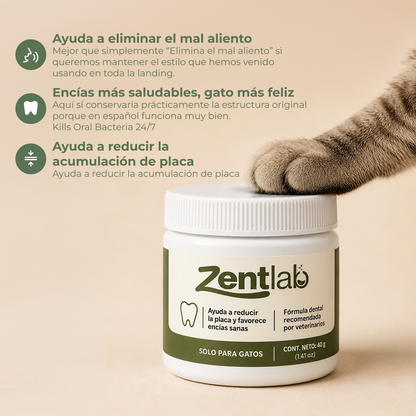 Polvo dental para gatos