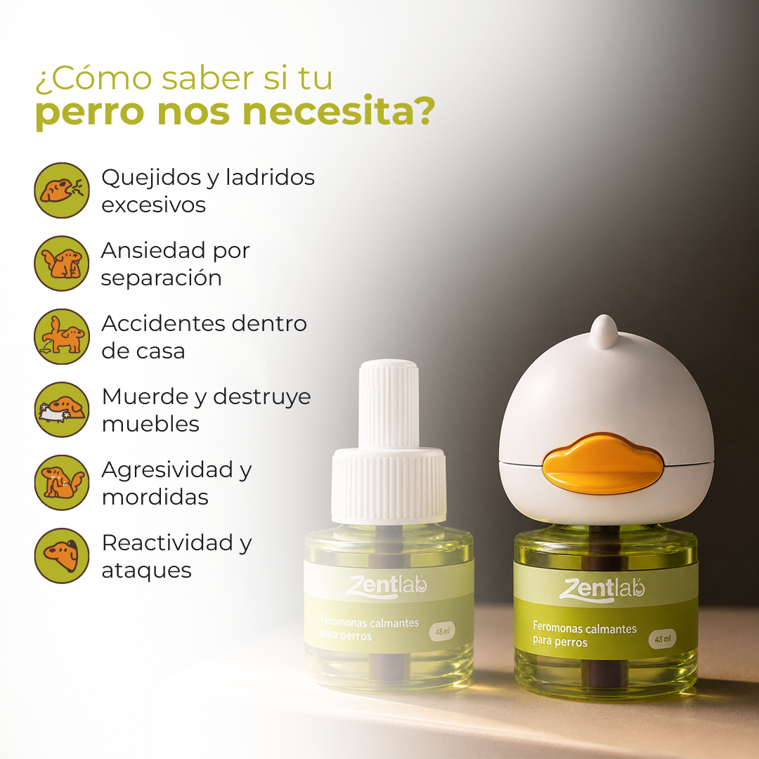 Difusor calmante para perros