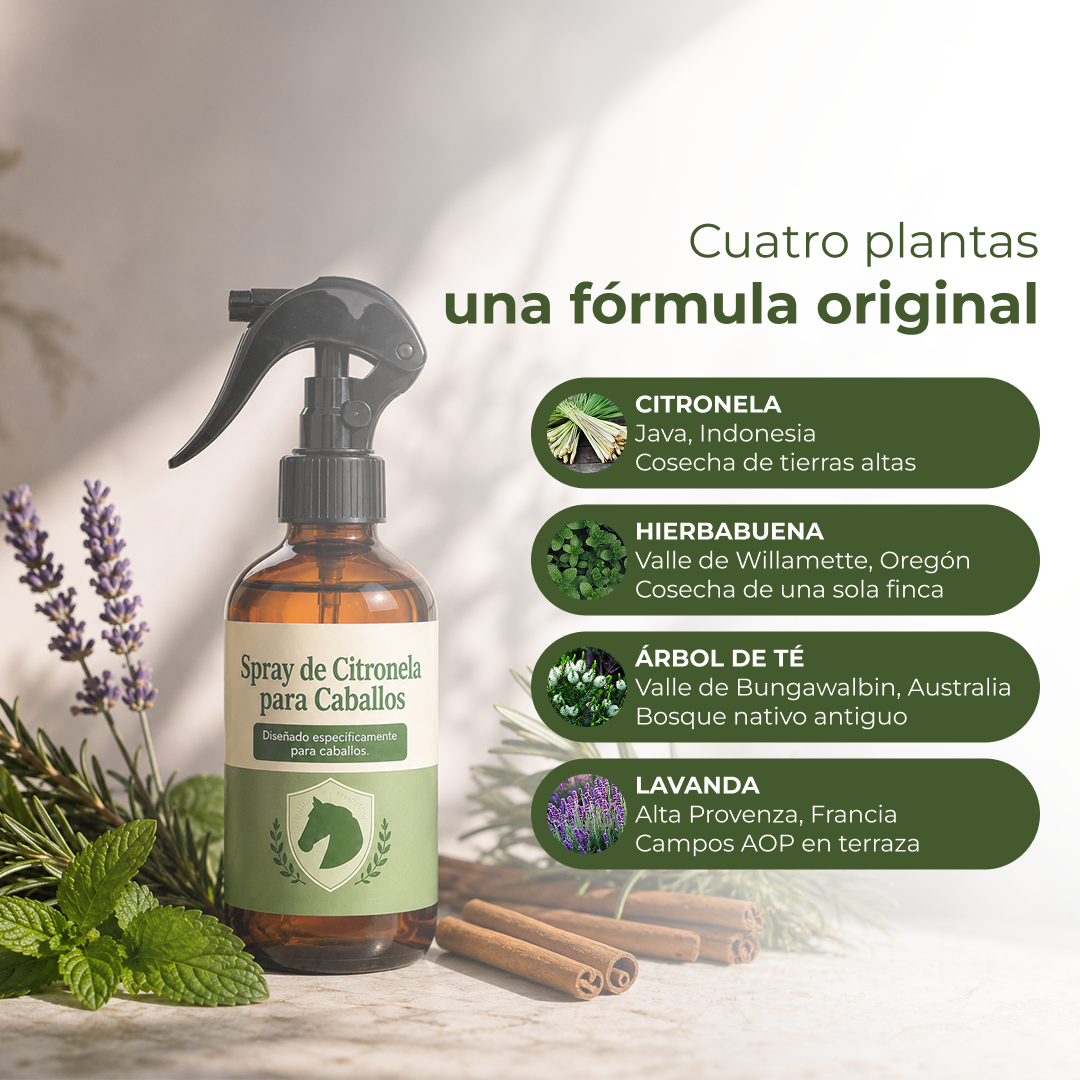 Repelente insectos para caballo