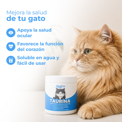 KittySupps™ | Taurina Pura en Polvo para Gatos