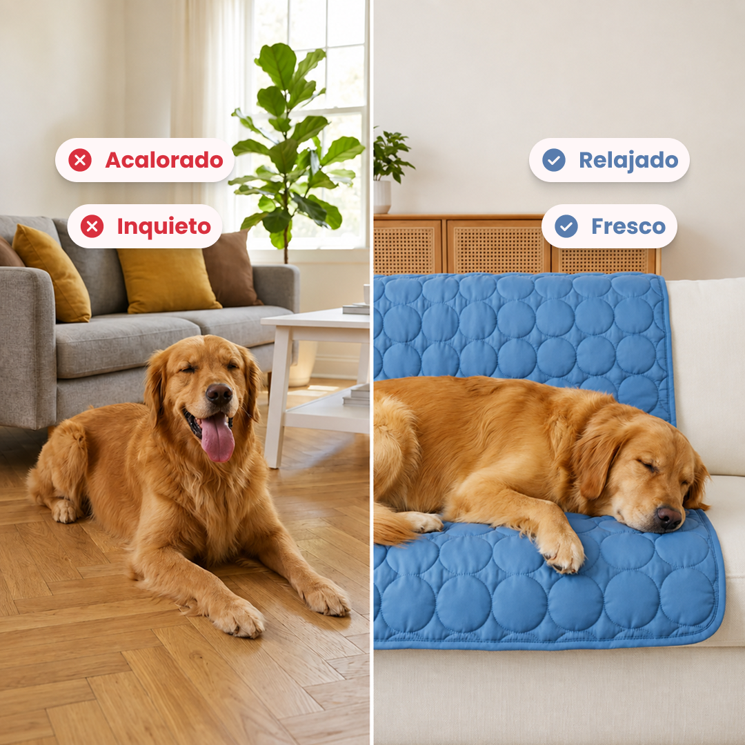 Alfombrilla refrigerante