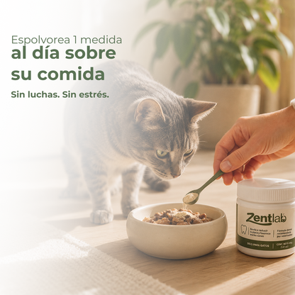 Polvo dental para gatos