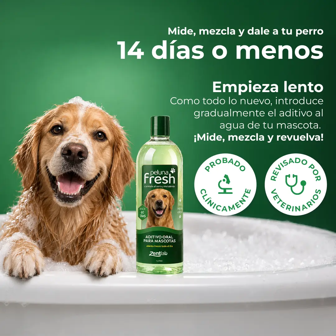 Peluna Fresh — Aditivo oral en agua para perros (botella 1 L, rinde ~60 días).
