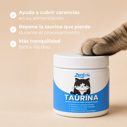 KittySupps™ | Taurina Pura en Polvo para Gatos