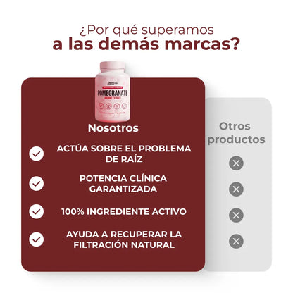 Zentlab | Extracto de Granada  para Circulación y Vitalidad