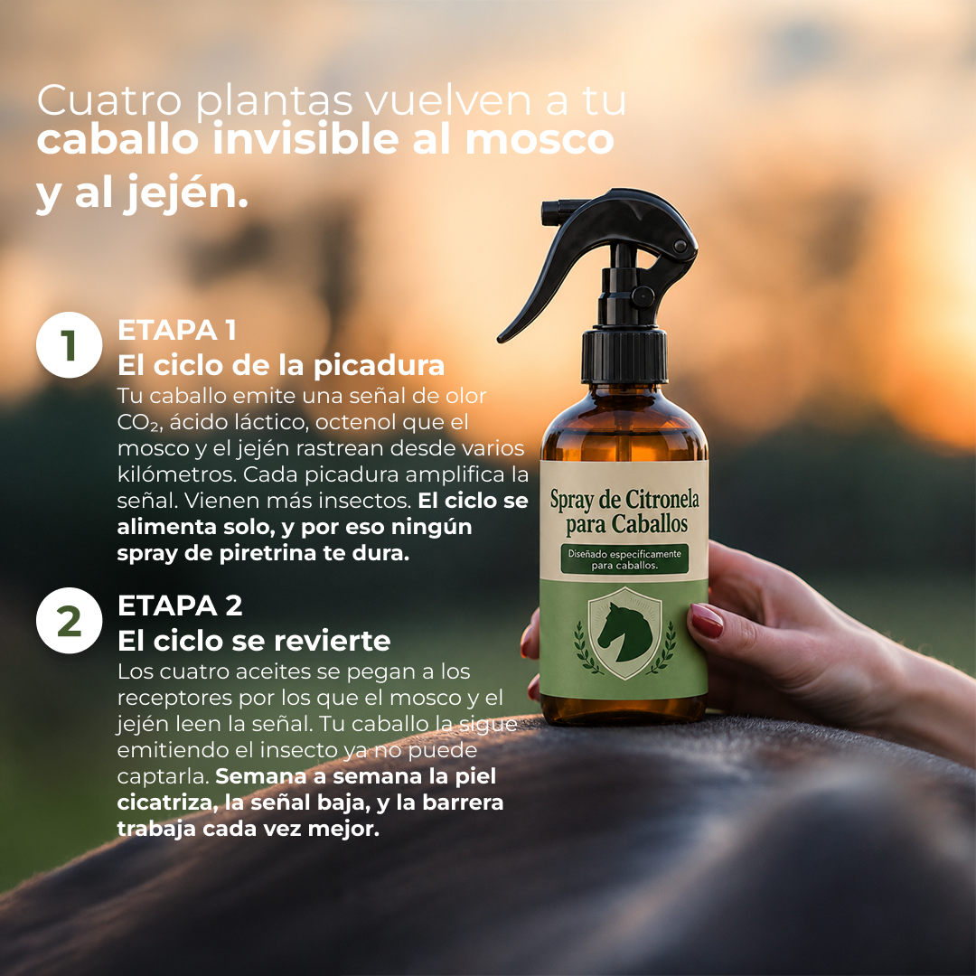 Repelente insectos para caballo