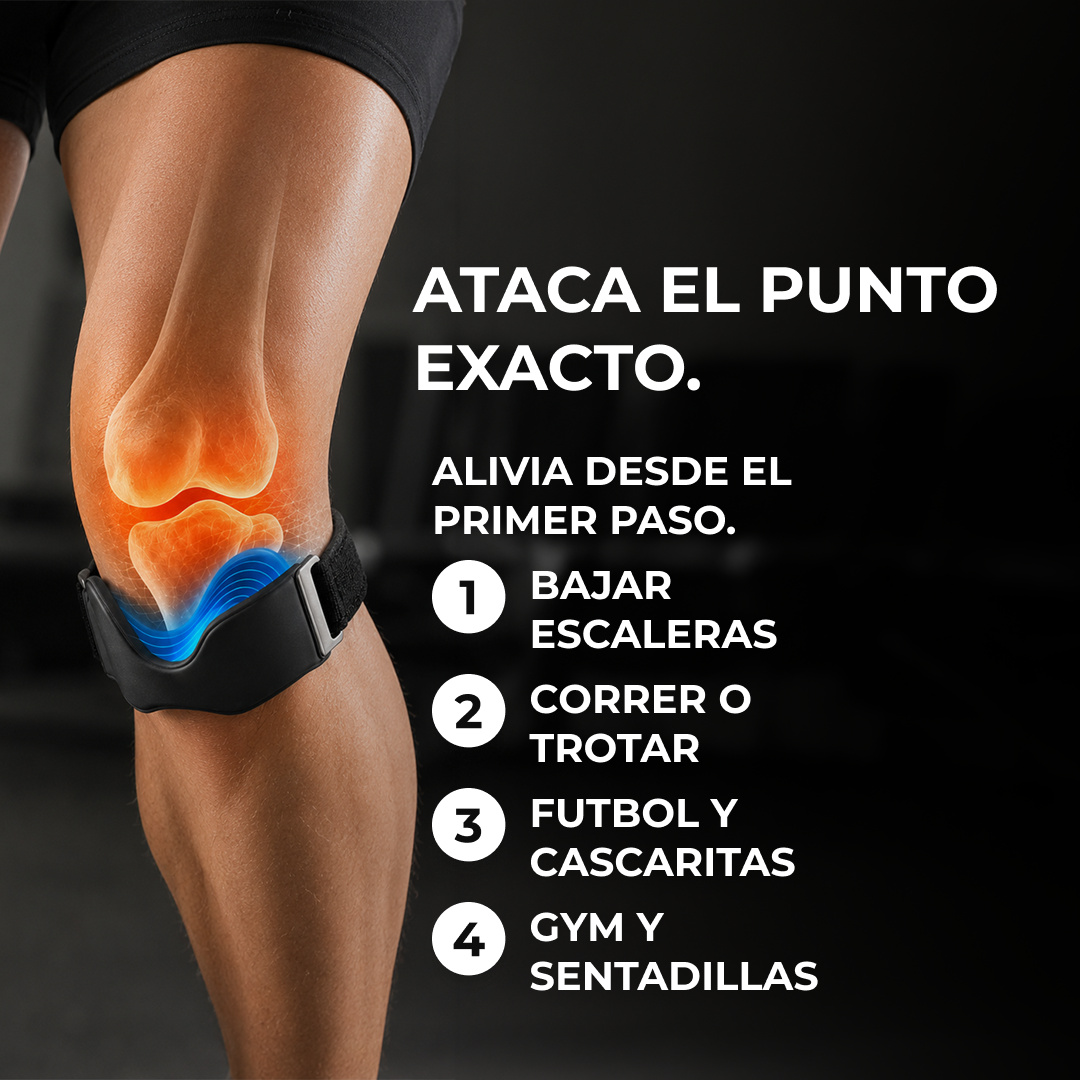 Correa de precisión