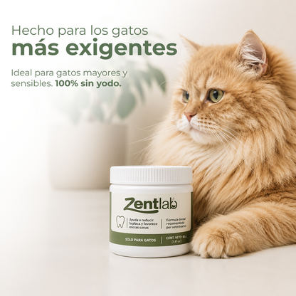Polvo dental para gatos