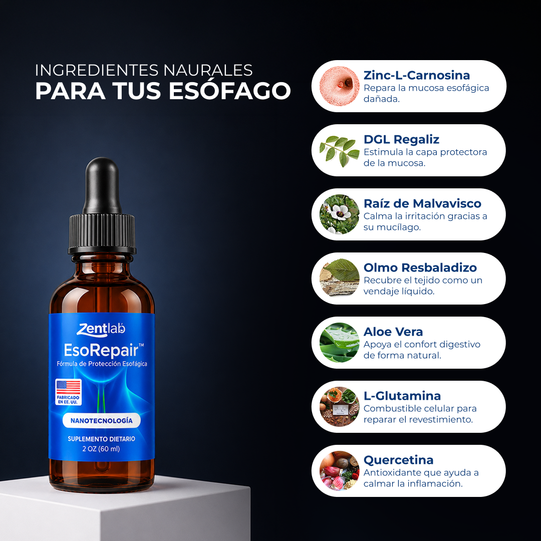 CH | Reparador estómago y esófago