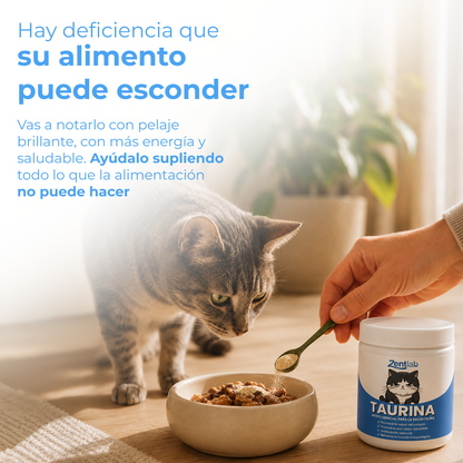 KittySupps™ | Taurina Pura en Polvo para Gatos
