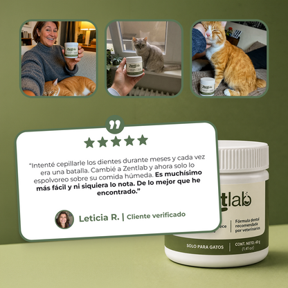 Polvo dental para gatos