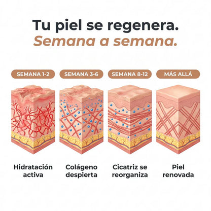 Cicatrix by Wondere| Stick Reparador de Cicatrices de Acné